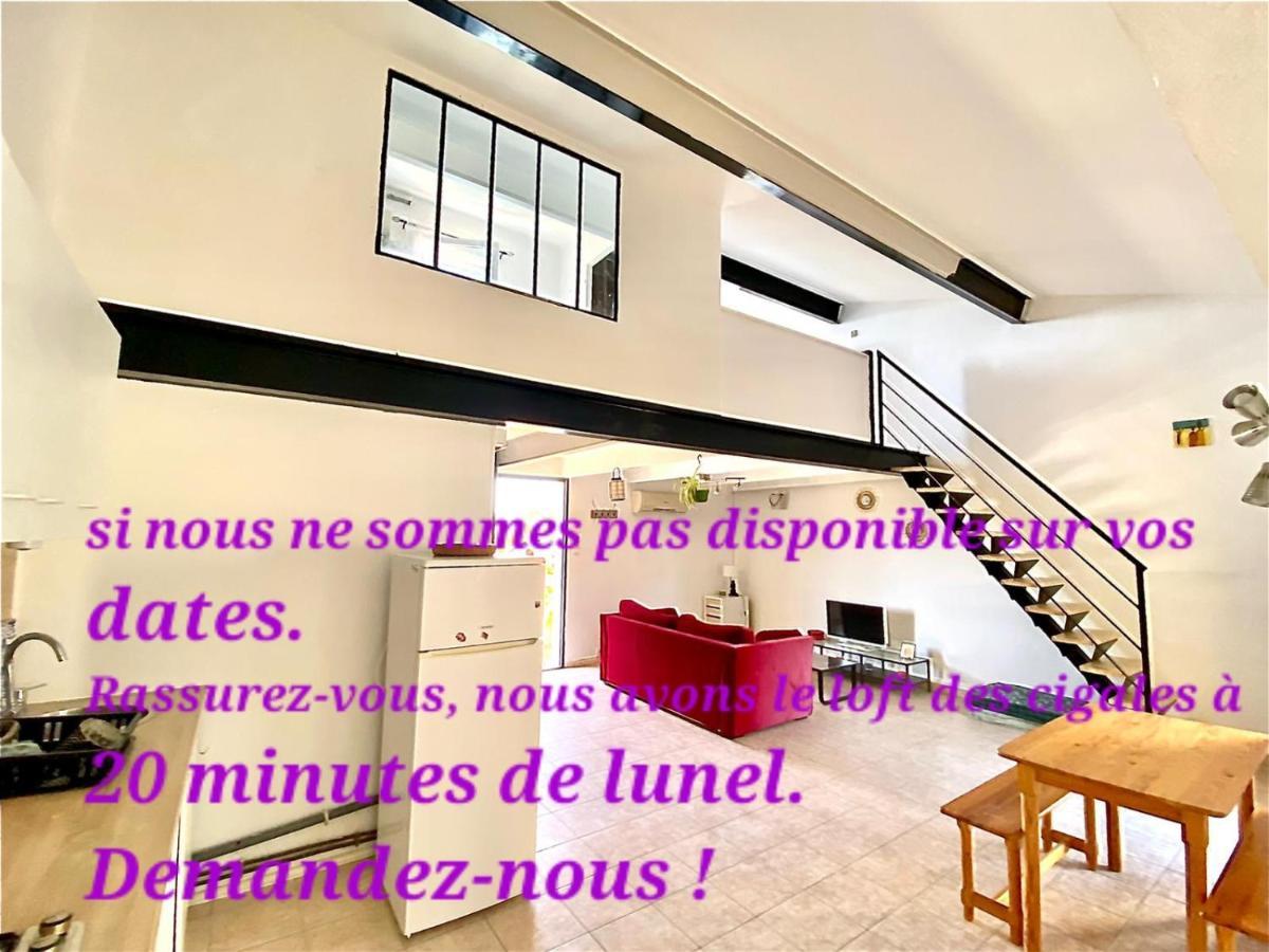 Loft Ambrussum, Jacuzzi, Jardin,Bbq Villa Lunel  Exterior photo
